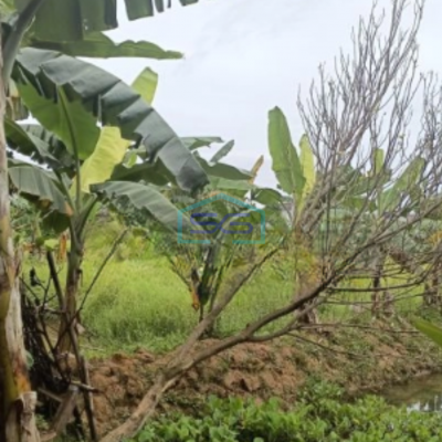 Dijual Kavling siap Bangun dan dekat lokasi gudang dan pabrik di Narogong Luas Tanah 9335 m²