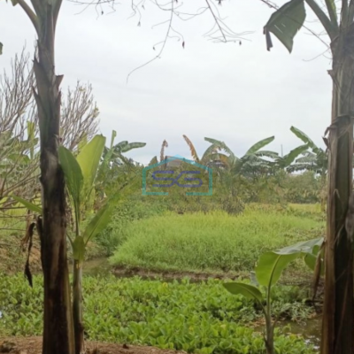 Dijual Kavling siap Bangun dan dekat lokasi gudang dan pabrik di Narogong Luas Tanah 9335 m²