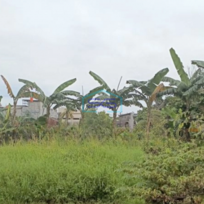 Dijual Kavling siap Bangun dan dekat lokasi gudang dan pabrik di Narogong Luas Tanah 9335 m²