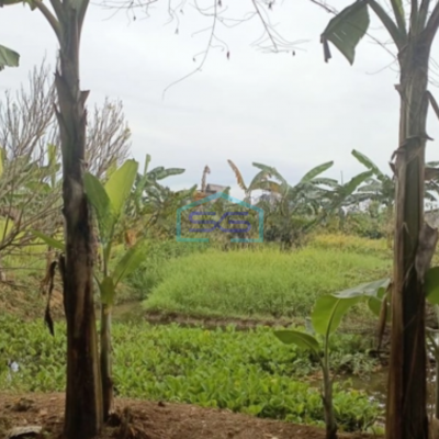 Dijual Tanah Kavling Siap Bangun Lokasi di Bogor Luas Tanah 9335m2