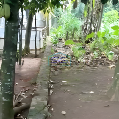 Dijual Tanah Strategis di Cileungsi Bogor Luas Tanah 1000m2