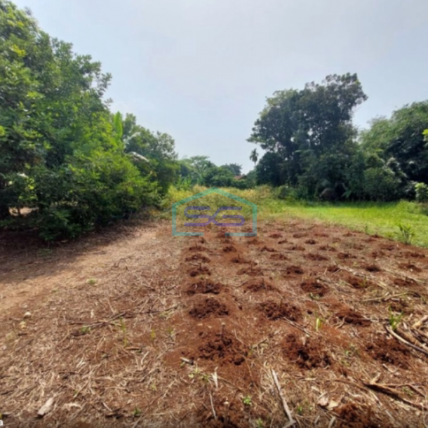 Dijual Tanah di Jalan Raya Bojong Klapanunggal Bogor LT 6166m2-2