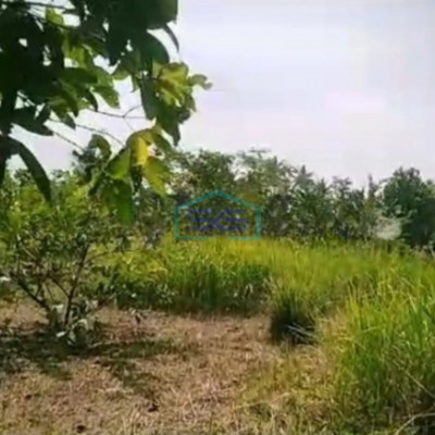 Dijual Tanah Kavling di Daerah Ciseeng Bogor Luas Tanah 2460m2