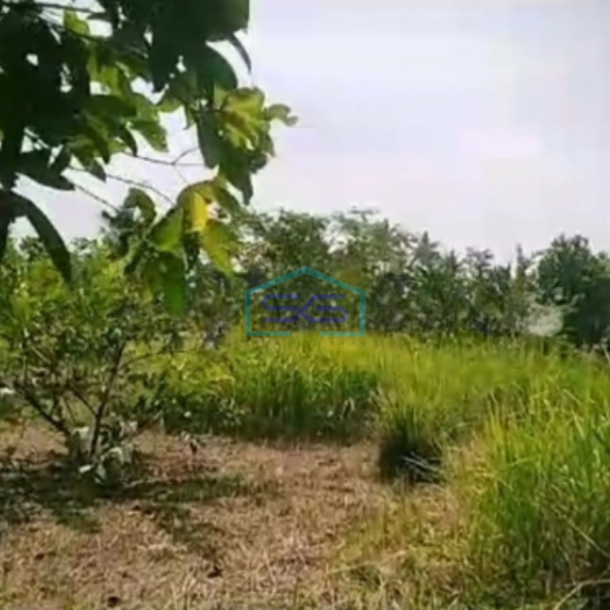 Dijual Tanah Kavling di Daerah Ciseeng Bogor Luas Tanah 2460m2-1