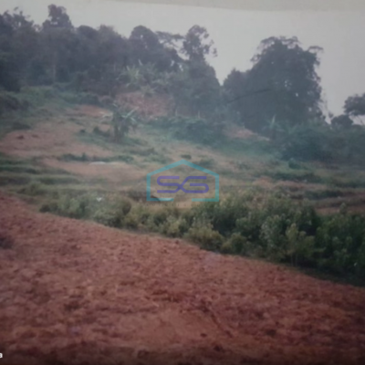 Dijual Tanah Kavling Siap Bangun Lokasi di Cariu Bogor LT 12000m2