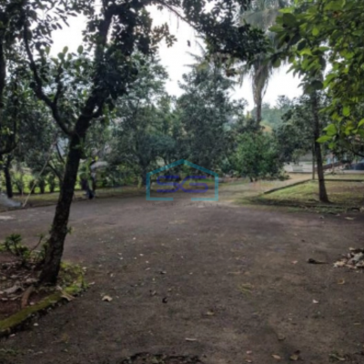 Dijual Tanah Cocok Untuk Bisnis di Ciseeng Bogor LT 7000m2