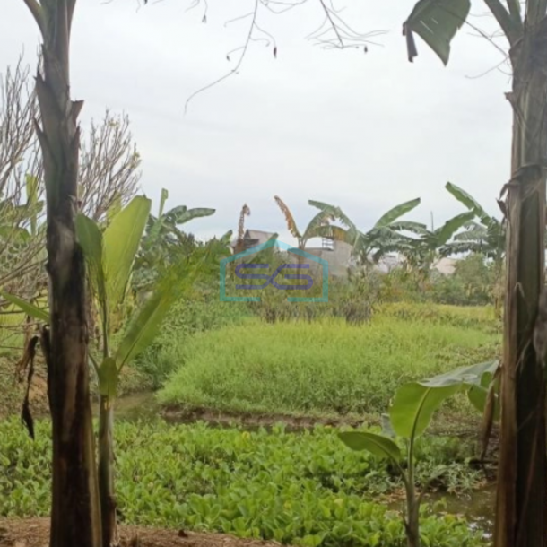 Dijual Tanah Datar bisa bangun Pabrik atau Gudang Luas Tanah 5800 m di Narogong-3