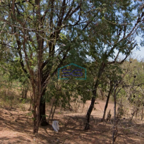 Dijual Cepat Tanah di Buleleng Bali Luas Tanah 92500m2-2