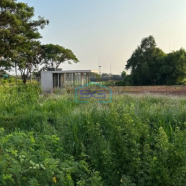 Dijual Tanah Kavling Kapuk Kayu Besar Kamal Muara Jakarta Utara Area Pergudangan-1