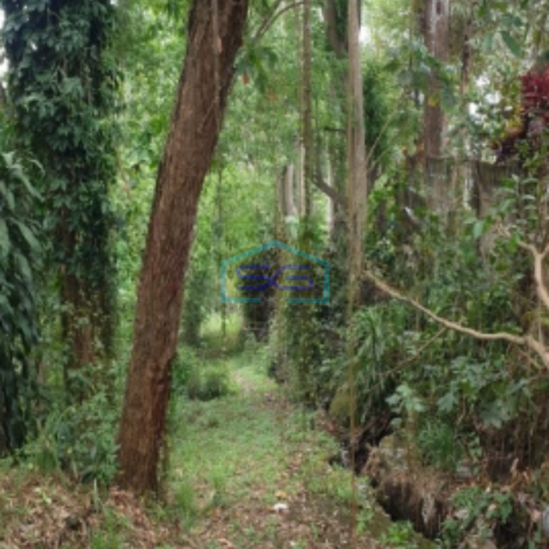 Dijual Tanah di Jalan Rancamaya Bogor Ciawi SHM Luas Tanah 15000m2-2