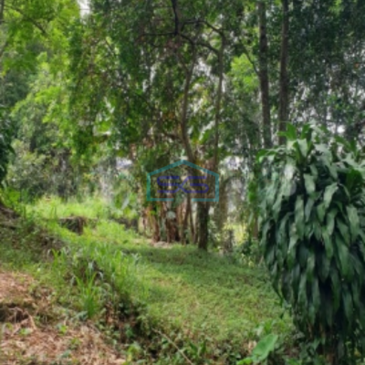 Dijual Tanah di Jalan Rancamaya Bogor Ciawi SHM Luas Tanah 15000m2