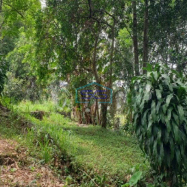 Dijual Tanah di Jalan Rancamaya Bogor Ciawi SHM Luas Tanah 15000m2-1