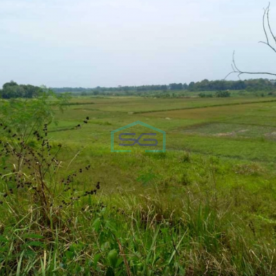 Dijual Cepat Tanah Sirnajati Cibarusah Bekasi Luas Tanah 28055m2