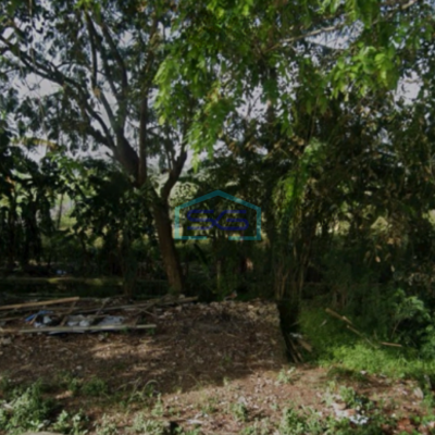 Dijual Tanah di Jalan Kronjo Mauk Kelebet Tangerang Luas 11000m2