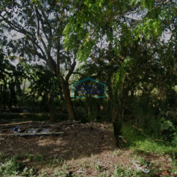 Dijual Tanah di Jalan Kronjo Mauk Kelebet Tangerang Luas 11000m2-3