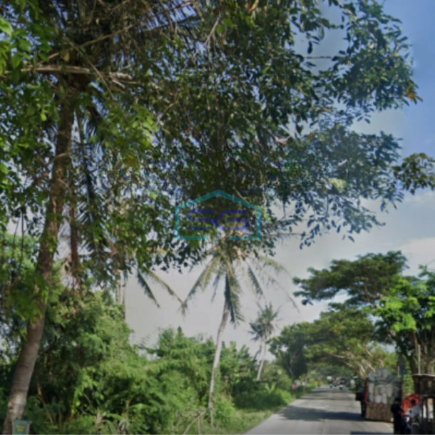 Dijual Tanah di Jalan Kronjo Mauk Kelebet Tangerang Luas 11000m2-1