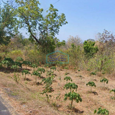 Dijual Tanah Buleleng Bali Luas Tanah 92500m2 Jual Cepat Shgb