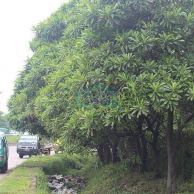 Dijual Tanah di Jalan Raya Cileunyi Bandung Luas Tanah 3779 M²