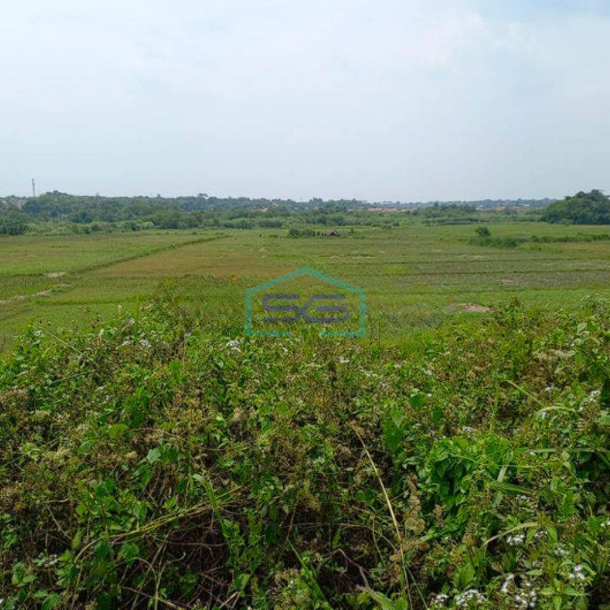 Dijual Tanah Sirnajati Cibarusah Bekasi Dijual Cepat LT 28055m2-1