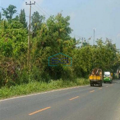 Dijual Tanah di Jalan Raya Serang Padeglang LT 10000m2