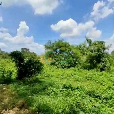 Dijual Tanah di Jalan Pemda Tigaraksa Tangerang Luas Tanah 18350m²