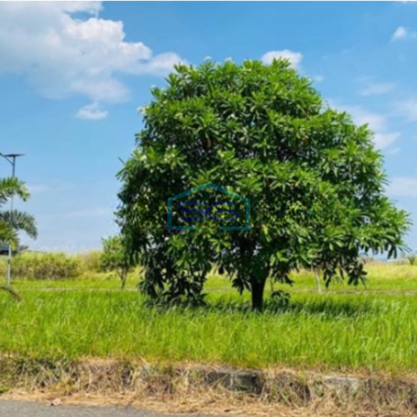 Dijual Tanah Kavling Bebas Banjir di Karawang Luas Tanah 35187m²-2