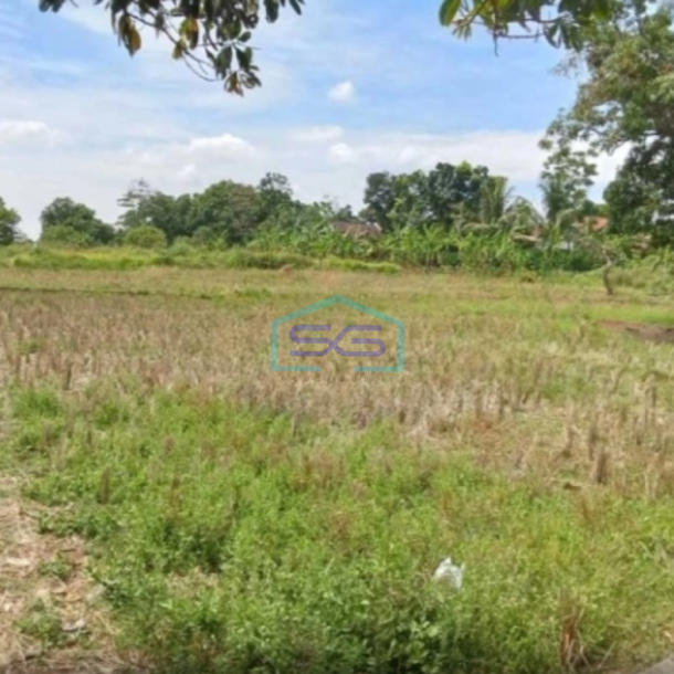 Dijual Tanah Lokasi Bebas Banjir di Subang Jawa Barat Luas 300 Ha-1