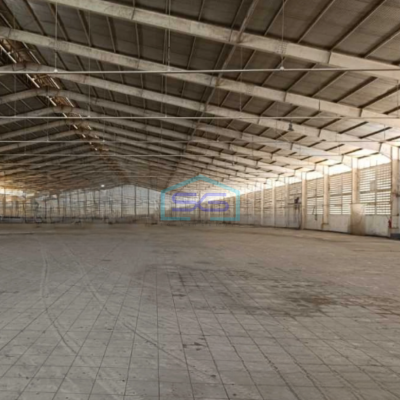 Disewakan Gudang Lokasi Bebas Banjir Luas Tanah  22000 m² Lokasi di Tangerang