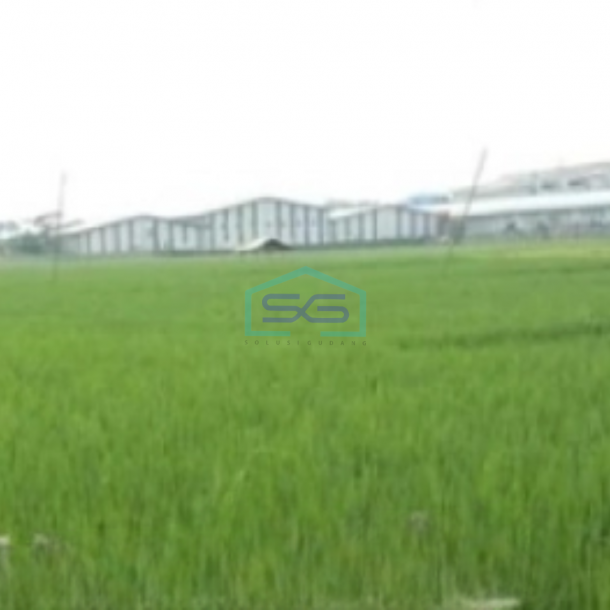 Dijual Tanah Lokasi Bebas Banjir di Pinggir Jalan Raya Subang Jawa Timur-1