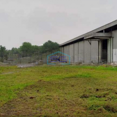 Dijual Gudang Luas Tanah  28.500 m² Lokasi Bebas Banjir di Lebak Banten