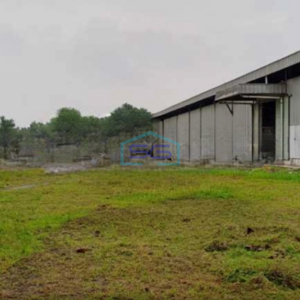 Dijual Gudang Luas Tanah  28.500 m² Lokasi Bebas Banjir di Lebak Banten-2