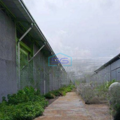 Disewakan Gudang di Bayur Sepatan Tangerang