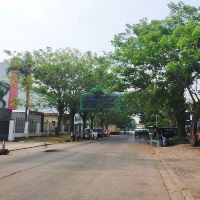 Disewakan Murah Gudang Taman Tekno Bsd Tangerang LT 670m2