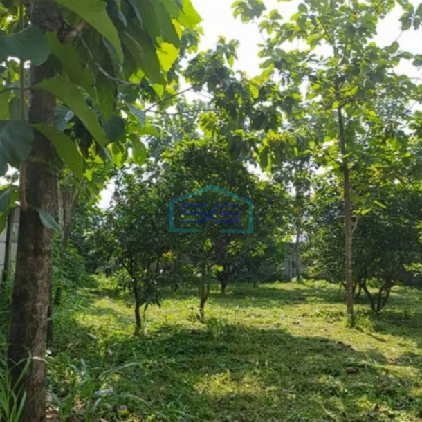 Dijual Tanah Strategis di Suradita, Cisauk, Tangerang-2