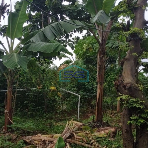 Dijual Tanah di Bintaro sektor V Bentuk Kotak Tangerang Selatan-3