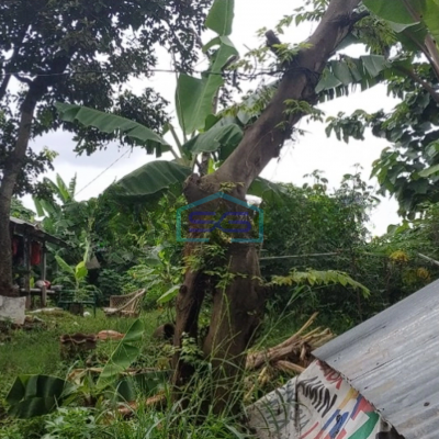 Dijual Tanah di Bintaro sektor V Bentuk Kotak Tangerang Selatan