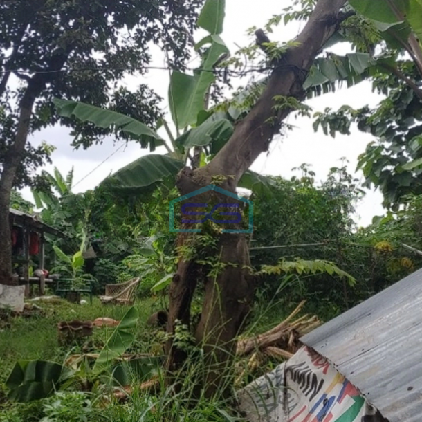 Dijual Tanah di Bintaro sektor V Bentuk Kotak Tangerang Selatan-1