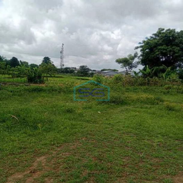Dijual Tanah Siap Pakai Di Jl Raya Kresek Tangerang Luas 154931m2-1