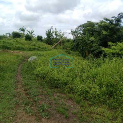 Dijual Tanah Siap Pakai Di Jl Raya Kresek Tangerang Luas 154931m2