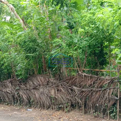 Disewakan Tanah Komersial Di Sengkidu Karangasem Bali Luas Tanah 2600m2