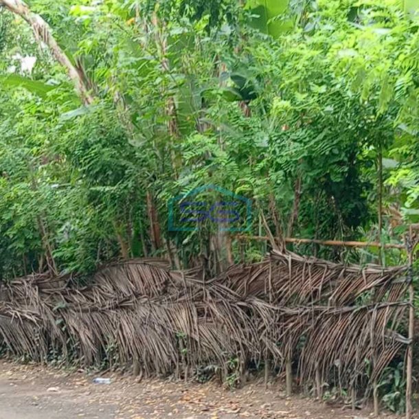 Disewakan Tanah Komersial Di Sengkidu Karangasem Bali Luas Tanah 2600m2-2