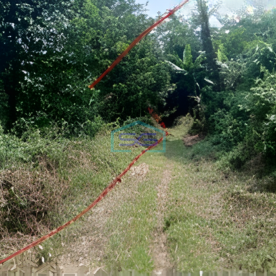 Dijual Tanah Super Murah Luas  6134 m² Lokasi Bogor