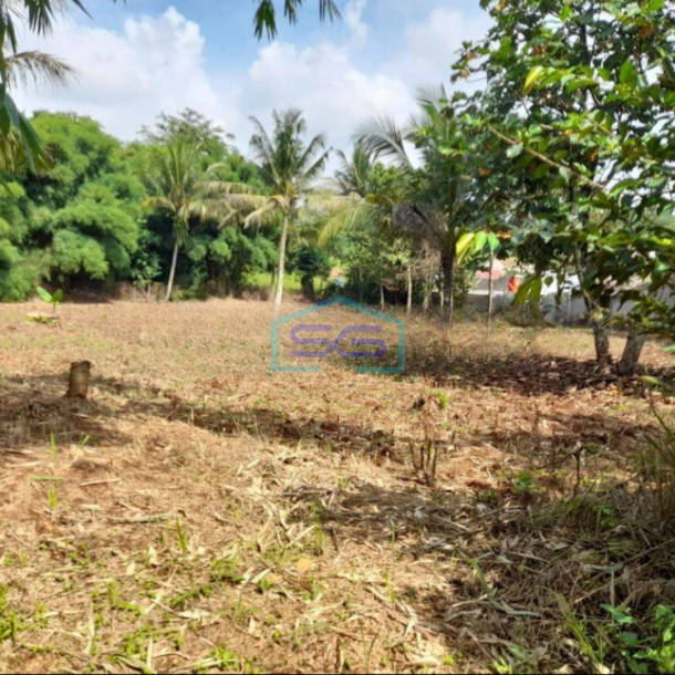 Dijual Tanah di Jalan Tengah Dekat Arco Sawangan Depok-2