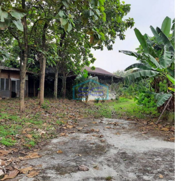 Dijual Tanah LT 62500m2 di Cipanas Lebak Banten-1