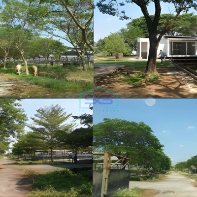 Dijual Tanah di Lokasi Strategis Pabuaran Subang Jawa Barat LT 528000m2