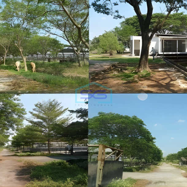 Dijual Tanah di Lokasi Strategis Pabuaran Subang Jawa Barat LT 528000m2-4