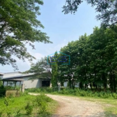 Dijual Tanah di Lokasi Strategis Pabuaran Subang Jawa Barat LT 528000m2