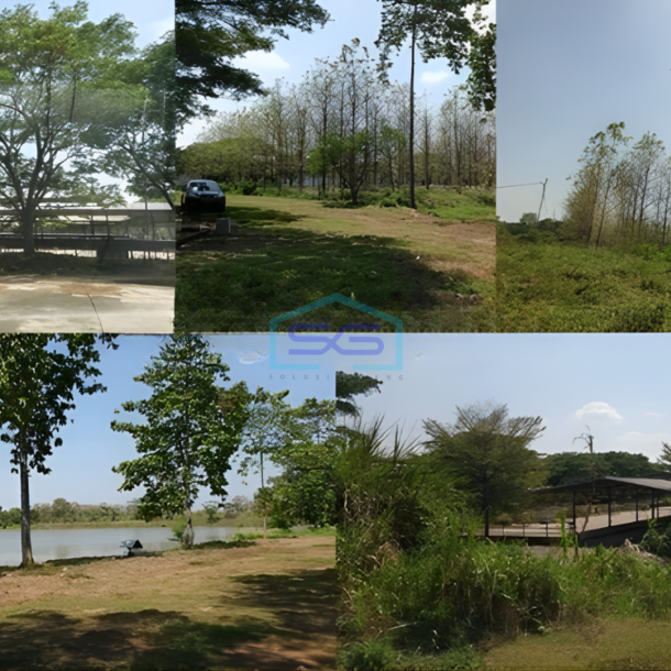 Dijual Tanah di Lokasi Strategis Pabuaran Subang Jawa Barat LT 528000m2-2