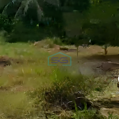 Dijual Tanah Lokasi Strategis di Ciampea Bogor Luas 2325m2