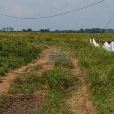 Dijual Cepat Tanah Industri di Subang Jawa Barat Luas 53000m2